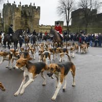 Percy Hunt to welcome public to National Trail Hunting Day event in Northumberland