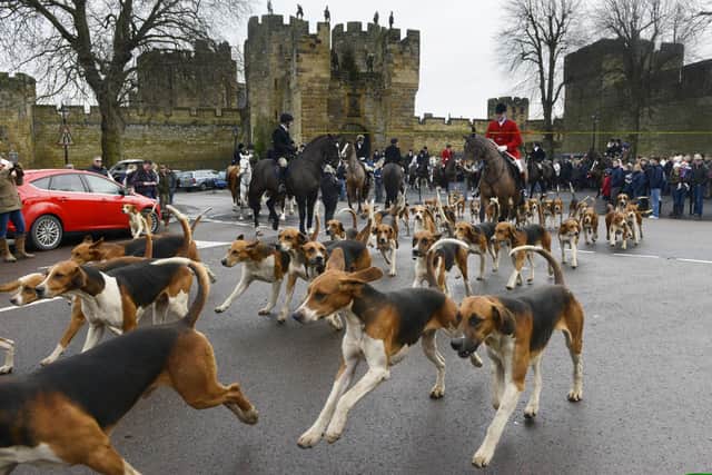 Percy Hunt's New Year's Day meet at Alnwick Castle.