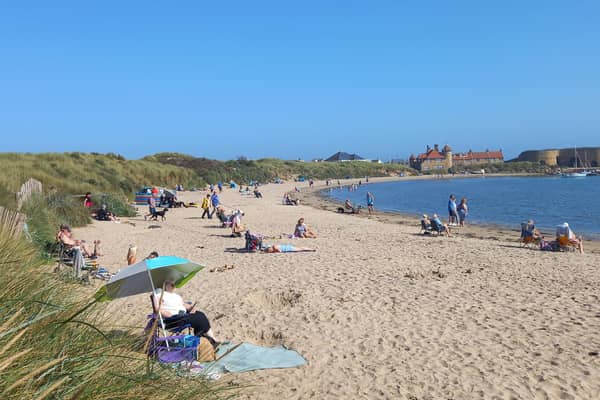 Beadnell was ranked as the tenth most popular destination for dog owners.