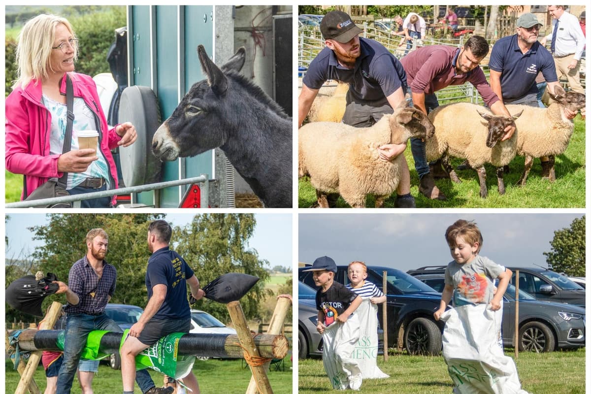 19 pictures from Ingram Show as Indian summer draws crowds to the Northumberland countryside 
