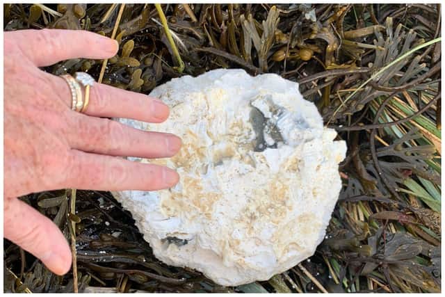 Palm oil was found in chunks on Beadnell beach this morning (October 23).