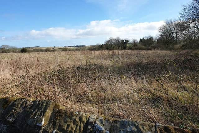 The proposed site of 55 homes in Longhorsley.