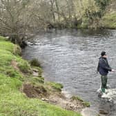 Emil fishing the River Coquet. Picture: Bob Smith