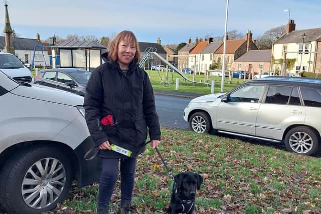 Charity issues appeal for volunteers to raise guide dog puppies in ...