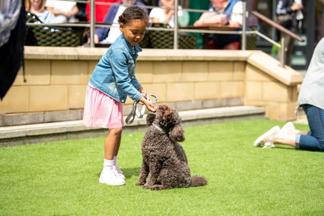 Cockapoo Fizzy and handler six-year-old Gabriella Fisher – Best in Show at the 2022 Sanderson Barkade.