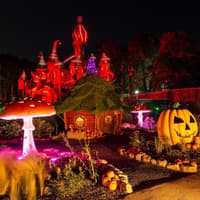 Alnwick Garden announces Halloween half-term events with Spookydorei return