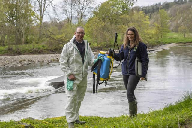 Emily Iles delivers equipment to tackle giant hogweed to Craig Duke, head boatman at the Upper Merton beat on the River Tweed. Picture by Phil Wilkinson.