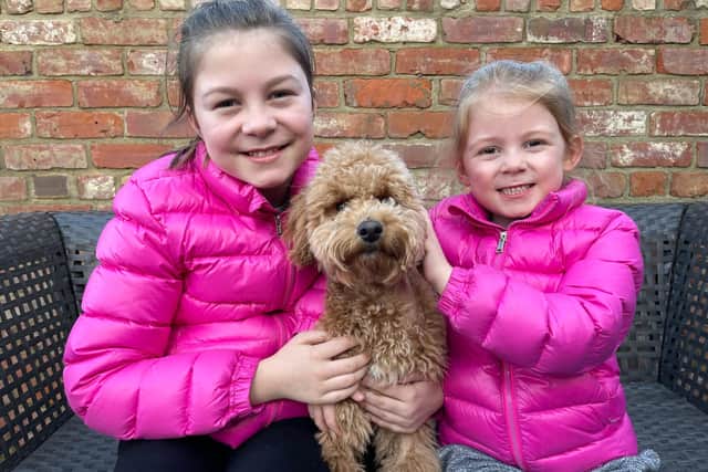 Annie, 11, and Liberty, six, with Waffle the cockapoo.