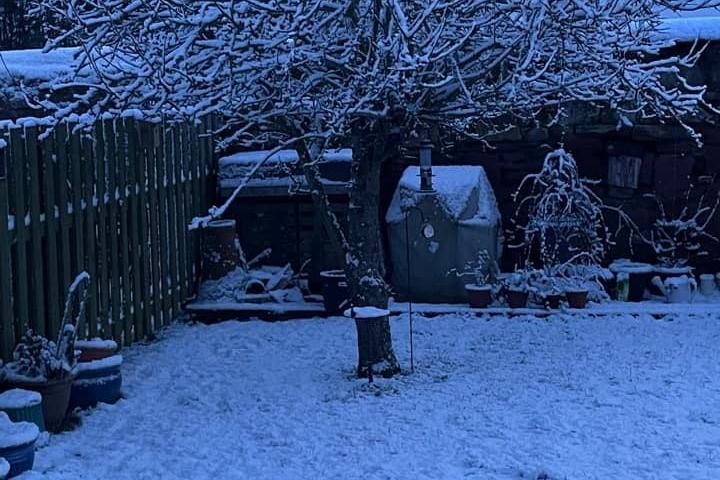 Karen Bailey posted this picture of the snow in her garden.