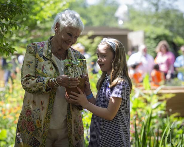 Dame Judi Dench and school competition winner Charlotte Crowe place Sycamore Gap seedling in The Octavia Hill Garden at Chelsea Flower Show. Picture: National Trust/James Dobson.