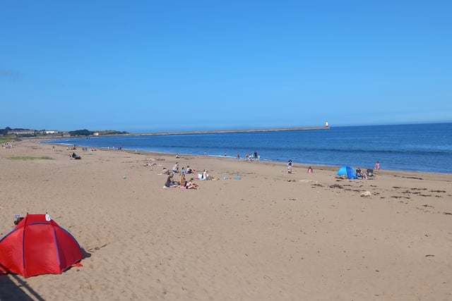 Spittal beach, Berwick, is ranked number 12. It gets a 4.5/5 rating based on 54 reviews.