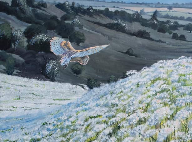 Barn Owl, Summer Evening, by Paul Henery.