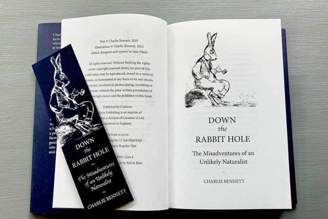 Down the Rabbit Hole is a light-hearted and thought-provoking read.