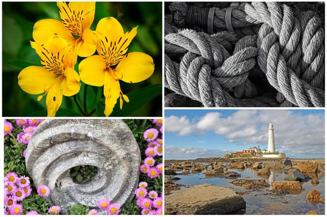 Pictures by Alnwick and District Camera Club.