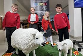 Pupils from Morpeth First School visited County Hall as part of the ‘Illuminated Sheep’ project.