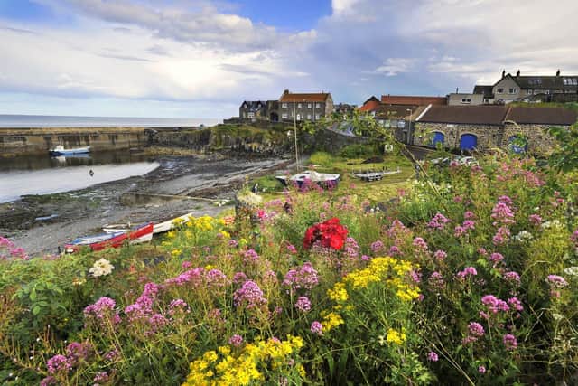 People in Craster may soon be able to get a mobile phone signal.