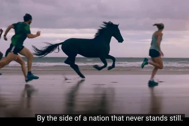 The famous Lloyds Bank black horse alongside runners on Beadnell beach.