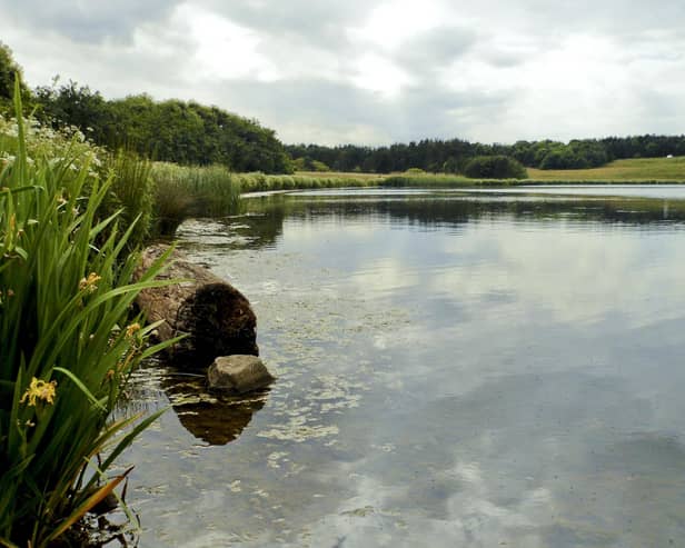 Druridge Bay Country Park was fifth in the top 10 list of Quorn’s Perfect Picnic Index.