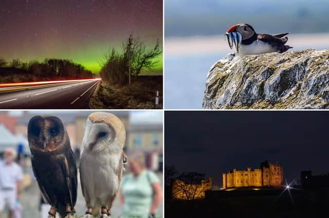Readers have been sharing some of the best pictures they've taken across Northumberland.