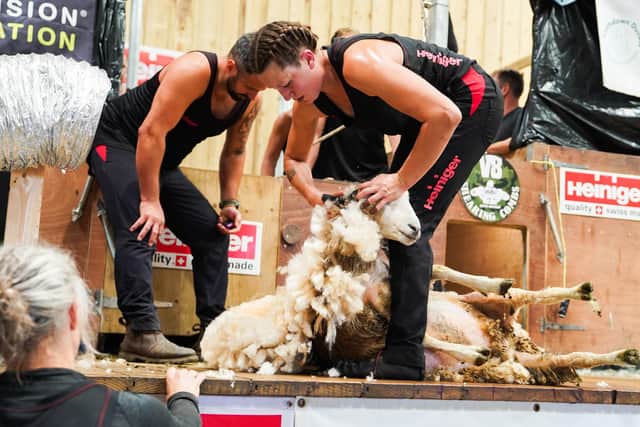 Marie Louise Usher Smith who set a new eight hour strong world and British ewe shearing record of shearing 370 ewes.