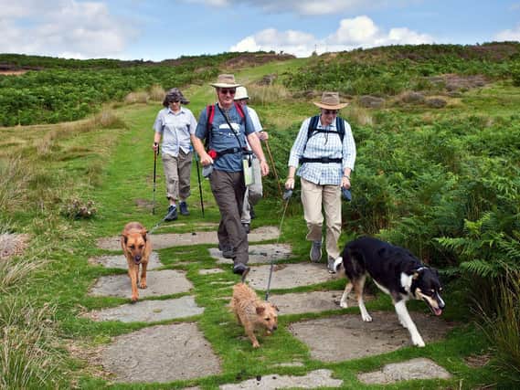 Dog walkers are being encouraged to keep their pets on leads near wildlife.