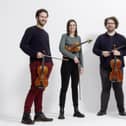 The Adelphi Quartet. Picture by Roland Unger.