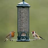 A robin and goldfinch at a bird feeder.