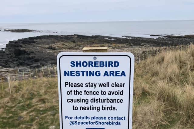 Visitors to the Northumberland coast are being asked to help protect nesting shorebirds.