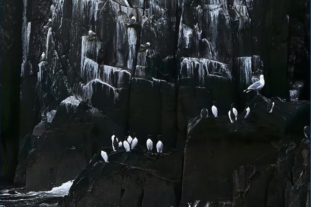 An impressive photo of the Farnes by Margaret Whittaker