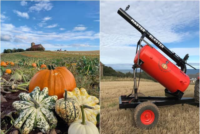 The pumpkin cannon is in action at St Abbs Pumpkin Patch, near Eyemouth.