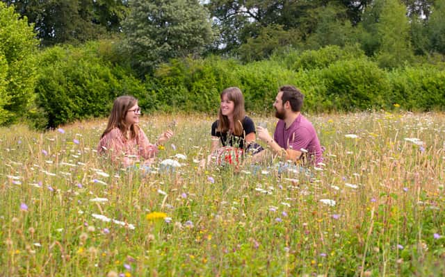 Ditch the barbecue and have a picnic instead, say Northumberland Wildlife Trust.