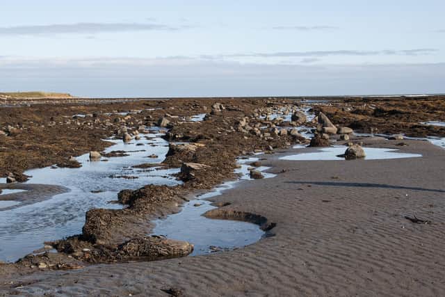 ‘Rock Pools’ was the subject of Peter Downs' second challenge.