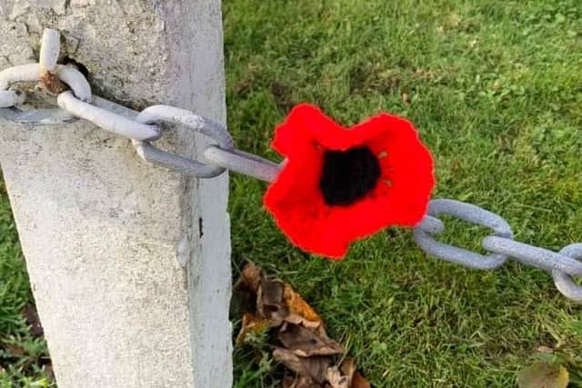 One of the knitted poppies.