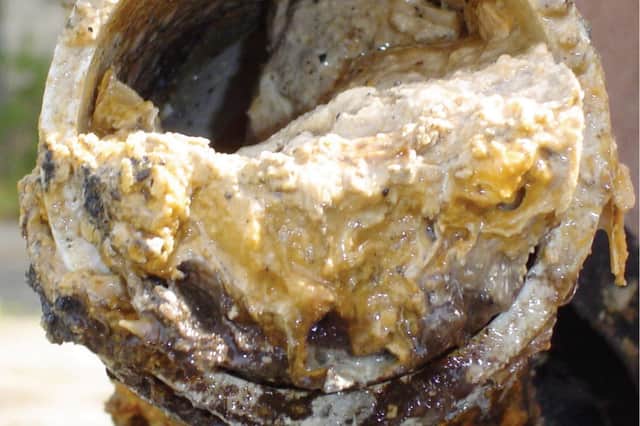 A pipe clogged with a buildup of fats.