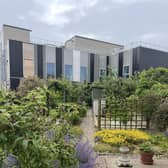 The view from the Youngs' back garden now the new hospital has been erected.