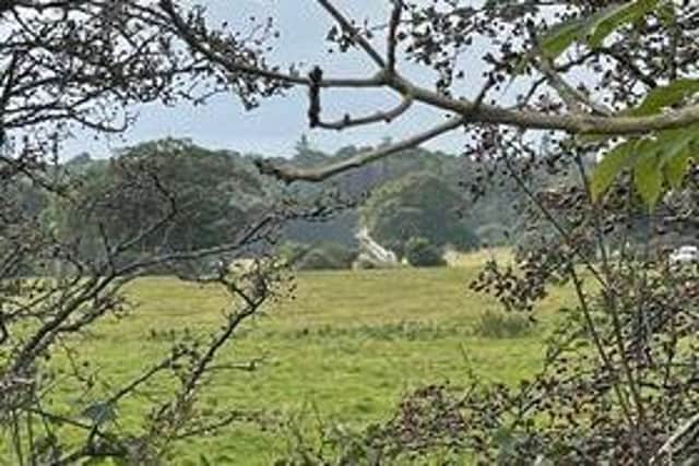 A light aircraft crashed into a field near Felton. Picture: Alex Summerly