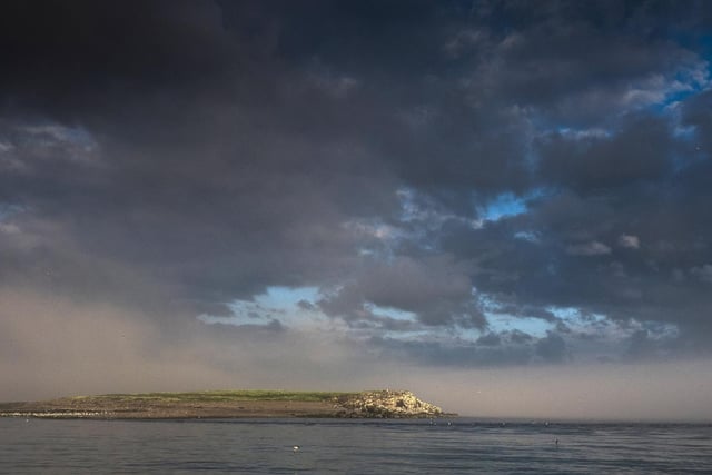 A bank of fog lifts on the Farnes, by Jane Coltman.