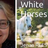 Jenan Rees and the front cover of her latest novel.