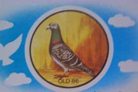 Old Birds National Race