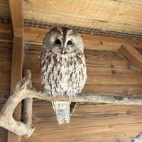 Helping to raise wildlife awareness