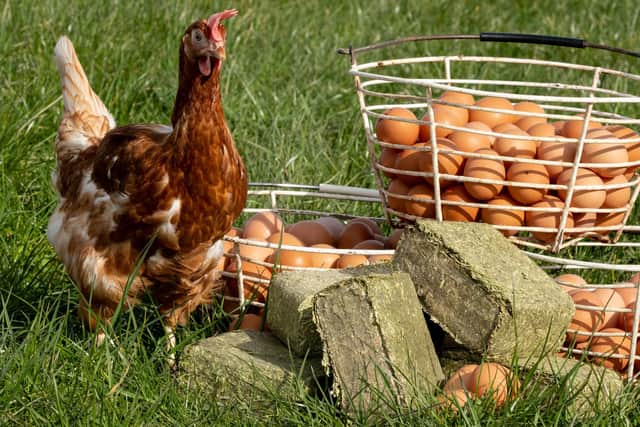 Silvermoor Ltd has launched briquettes for poultry.