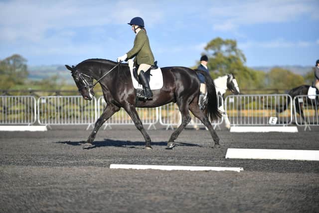 A rider at the Debs Boyle Memorial Charity Dressage event at the Todburn Equestrian Centre.