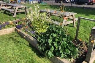 The garden now features vegetables, flowers, and a seating area. (Photo by Astley Community High School)