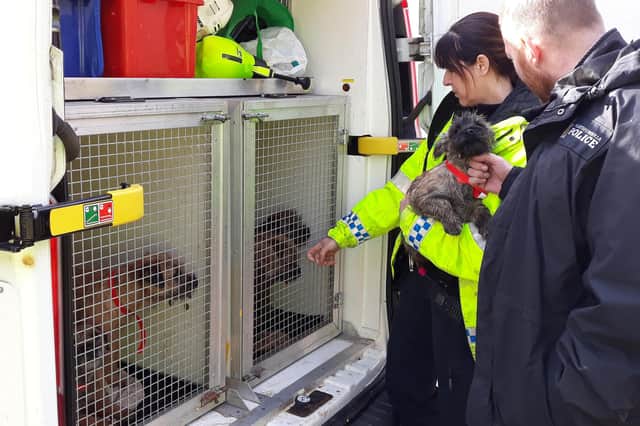 Around 20 dogs were rescued from the farm in Rothbury.