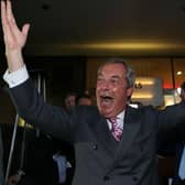 Nigel Farage reacts outside the Leave EU referendum party at Millbank Tower in central London on June 24, 2016. Picture: Geoff Caddick/AFP via Getty Images.