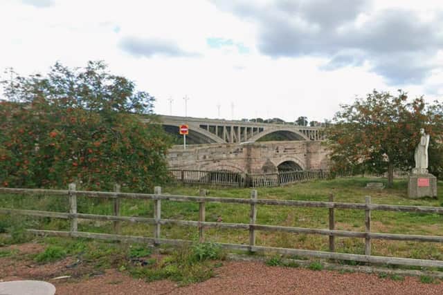 The trees in place at the site before they were removed.