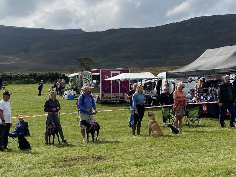 The dog show.