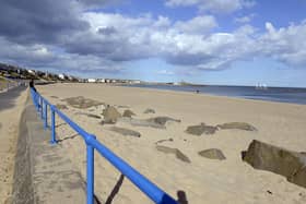 Dogs could be banned from being off a leash at Newbiggin promenade and beach.