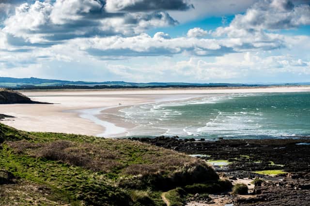 Budle Bay, near Bamburgh, part of the Northumberland Coast AONB. Picture: Gavin Duthie