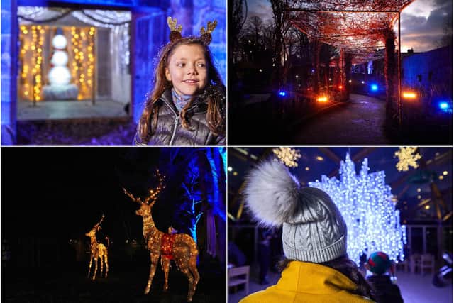 The Alnwick Garden Christmas lights trail is returning.